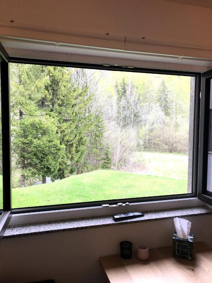 Apartment Loyd, Kranjska Gora - Studio Luaran gambar