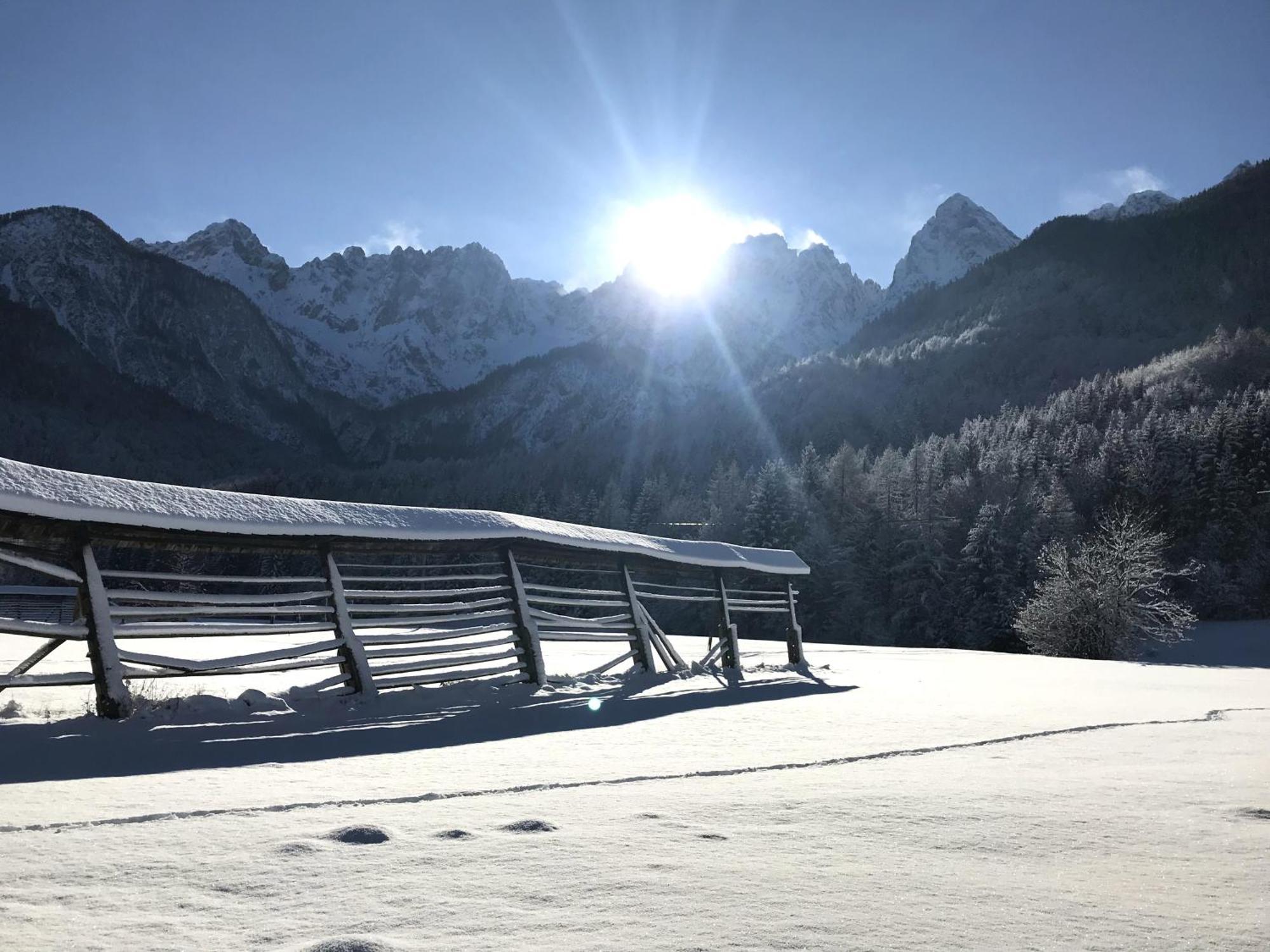 Apartment Loyd, Kranjska Gora - Studio Luaran gambar